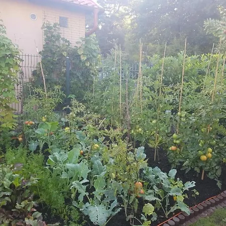 In Mit Grill Und Garten By Interhome